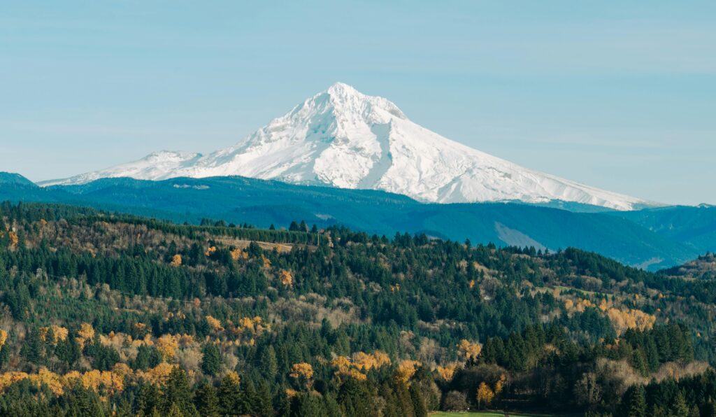 A clear view of snow-capped Mount Hood with vibrant autumn trees in Sandy, Oregon.